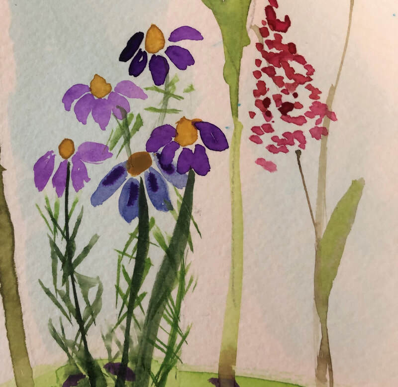 Hello, Purple Coneflower ...