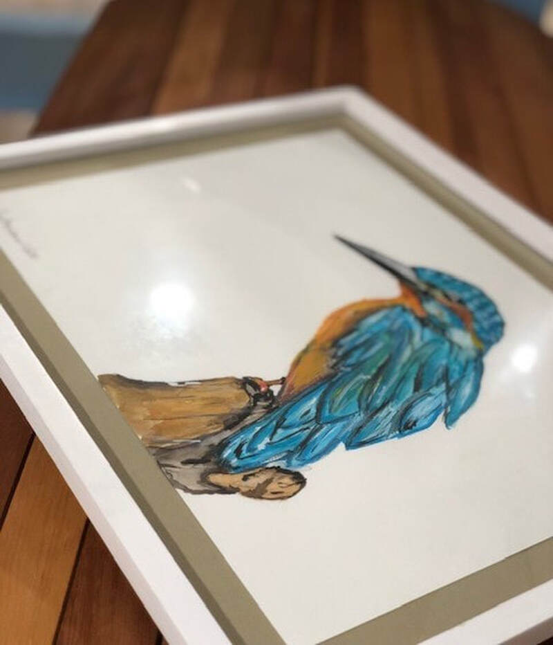 Kingfisher